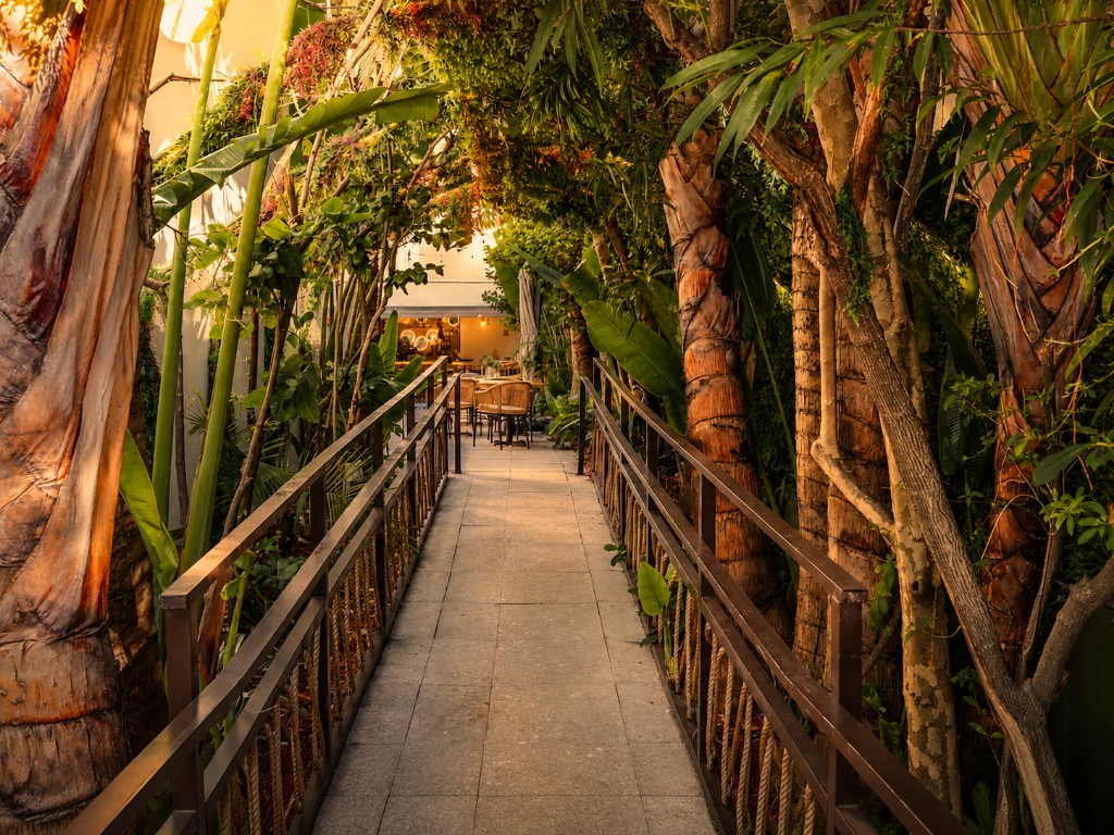 Tropical walkway through palm trees toward the pool and bar at The Lemon Branch Hotel